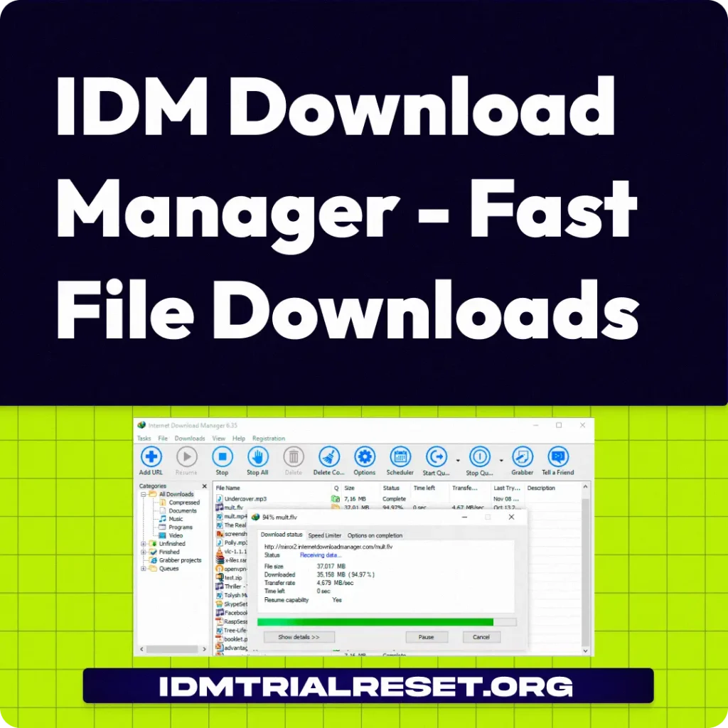 IDM Download Manger fast file downloads interface showing accelerated download speeds and browser integration for efficient file management.